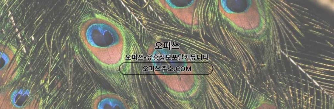 동두천인샵 오피쓰COM 동두천 인샵 Cover Image