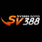 SV388 profile picture