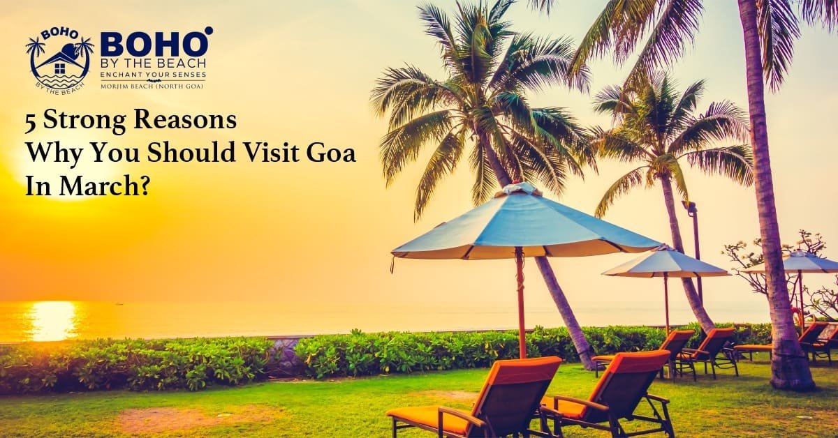 5 Strong Reasons Why You Should Visit Goa In March?
