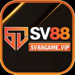 SV88 Profile Picture