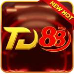 TD88 beer Profile Picture