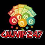 Soi Cầu 247 Vip Rồng Bạch kim 247 Chính Xác