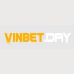 Vinbet Link Đăng Nhập Nhà Cái