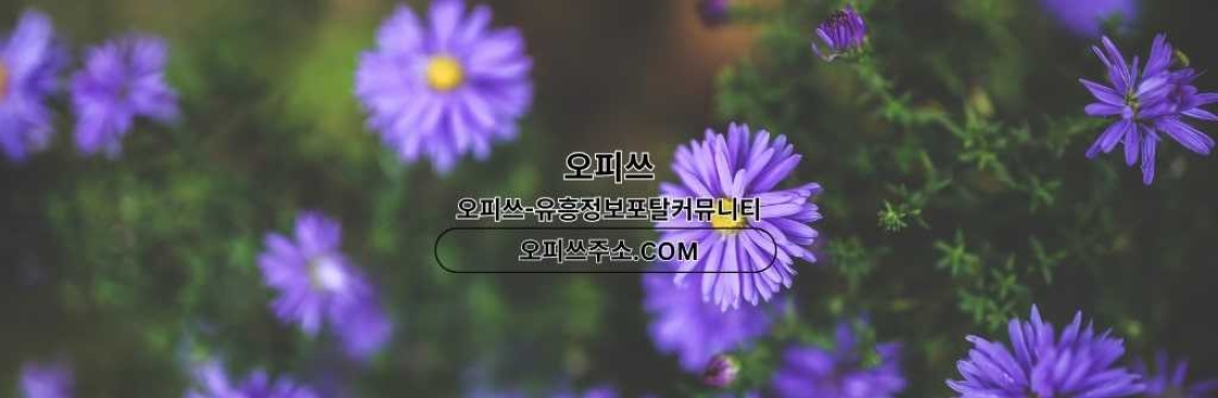 목포스웨디시 오피쓰COM 목포 스웨디시 Cover Image