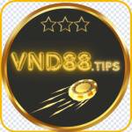 vnd 88tips profile picture