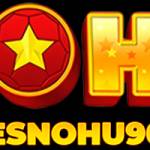Nohu hu