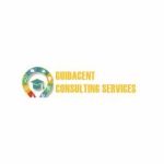 Guidacent Consulting Services profile picture