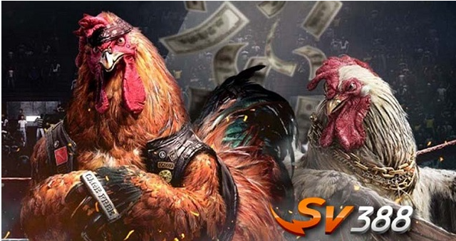 SV388⚡️Nhà Cái Số 1 | Đăng Ký Ngay Tặng 777K