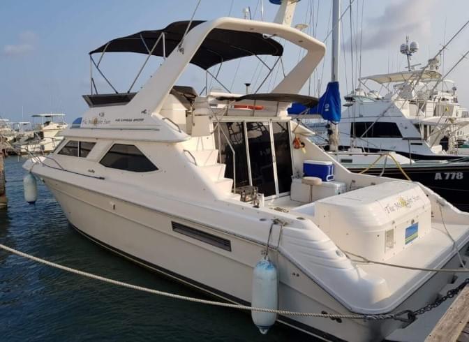 Luxury Sailing Yacht Charter: Experience the Ultimate Aruba Yacht Adventure on Strikingly