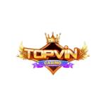 Topvin boats