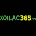 Xoilac Tv Profile Picture