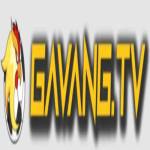 Gà Vàng TV Xem Trực Tiếp Bóng Đá Profile Picture