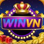 Winvn vip Profile Picture