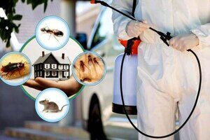 Residential Pest Control Kolkata | Free Termite Inspection