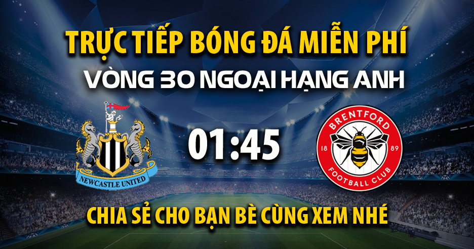 Trực tiếp Newcastle United vs Brentford lúc 01:45, ngày 03/04 -