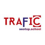 Traffic seotop