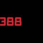 388 bet
