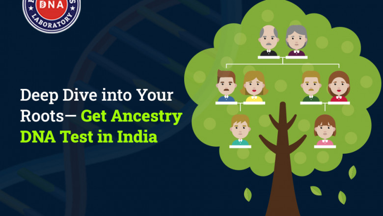 Ancestry DNA: A Simple Way to Explore Your Genetic Roots | Times Square Reporter